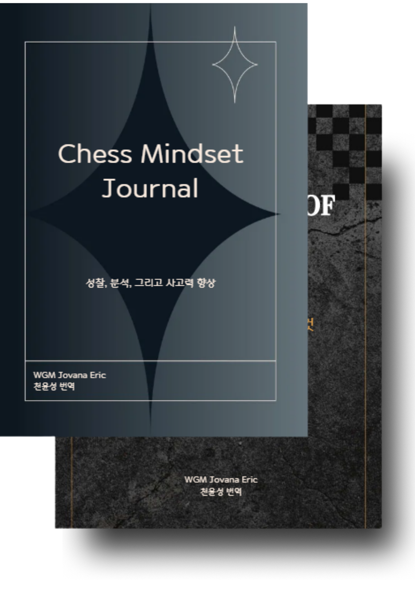 The Anatomy of Chess + Chess Mindset Journal · 표지
